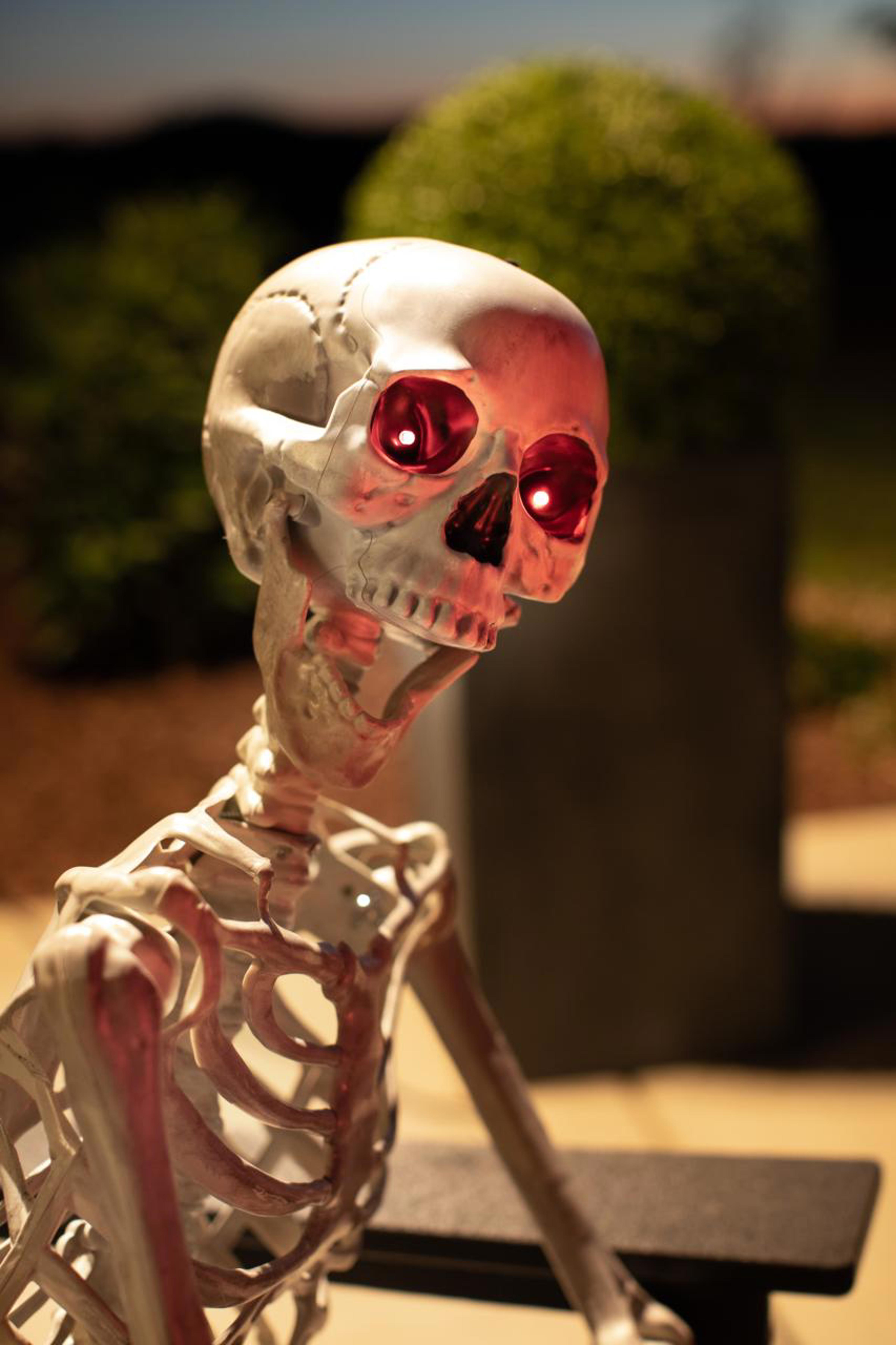 ANN1-0116-00_Wilshire B_Halloween_Outdoor Living 2_Drees